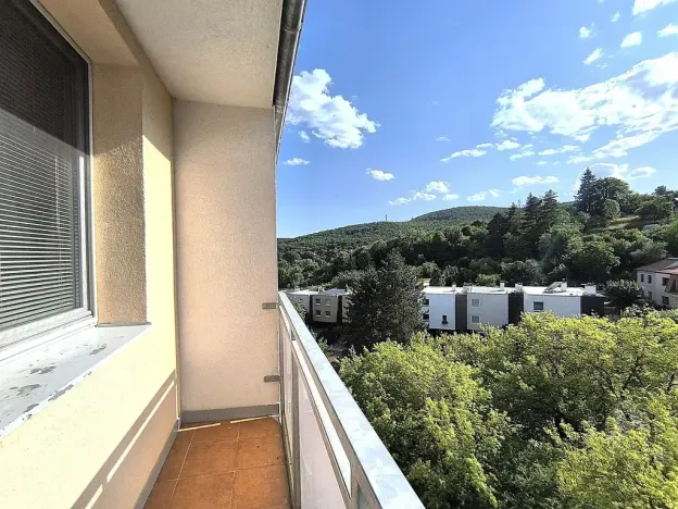 Pronájem bytu 1+1, Brno, 40 m2