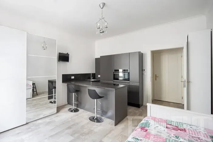 Pronájem bytu 1+kk, Praha - Žižkov, Slavíkova, 27 m2
