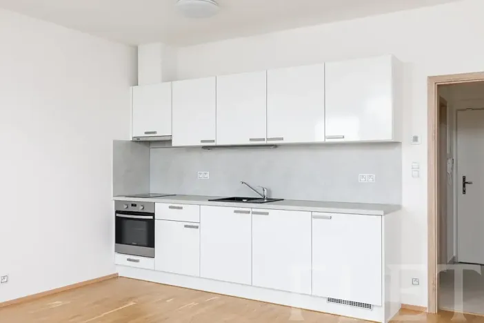 Pronájem bytu 1+kk, Praha - Žižkov, Olšanská, 36 m2