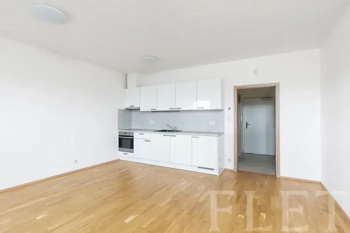Pronájem bytu 1+kk, Praha - Žižkov, Olšanská, 36 m2