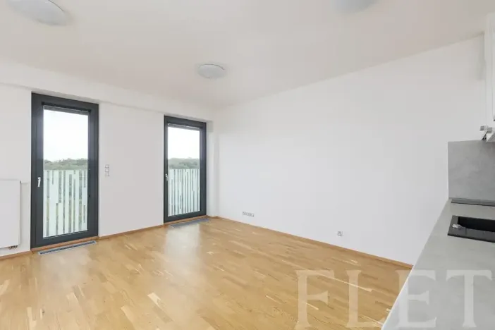 Pronájem bytu 1+kk, Praha - Žižkov, Olšanská, 36 m2