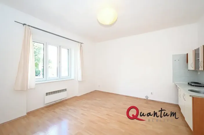 Pronájem bytu 1+kk, Praha - Nusle, V zálomu, 33 m2