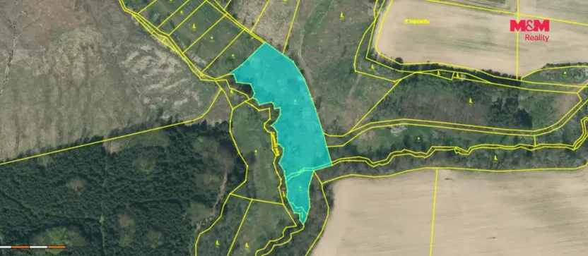 Prodej rybníku, Dolní Hořice - Pořín, 8552 m2