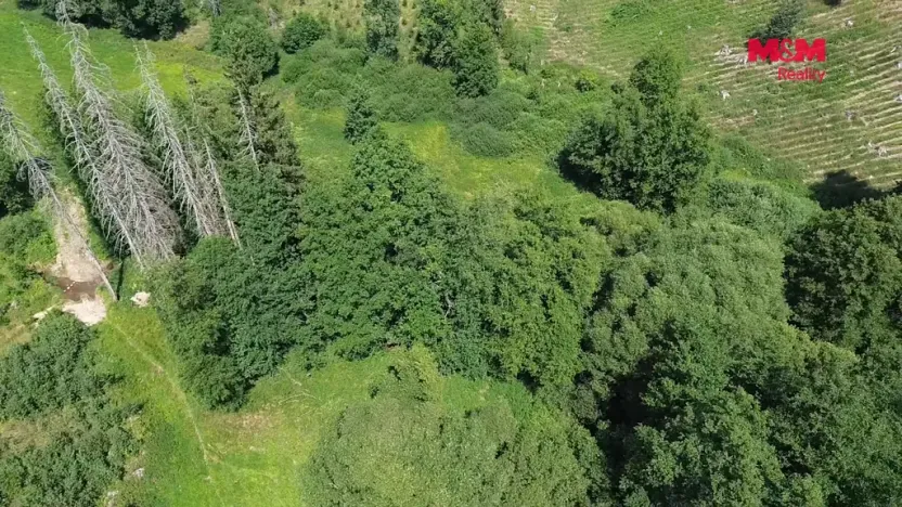 Prodej rybníku, Dolní Hořice - Pořín, 8552 m2