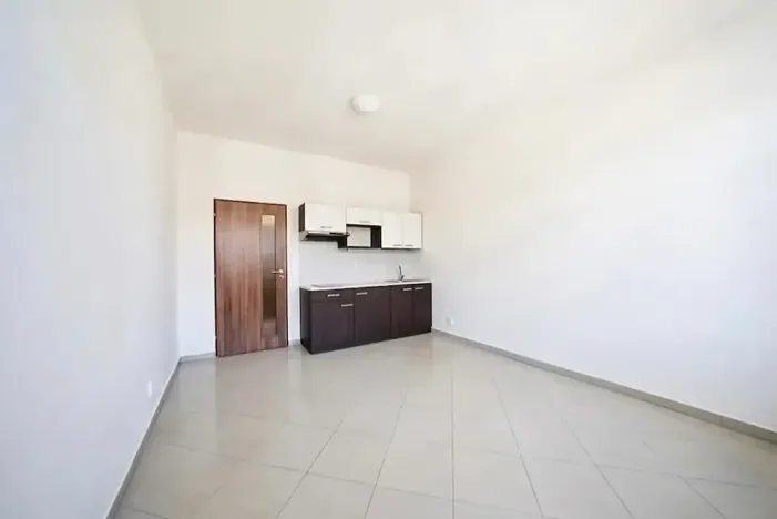 Prodej bytu 1+kk, Brno, Svitavská, 30 m2