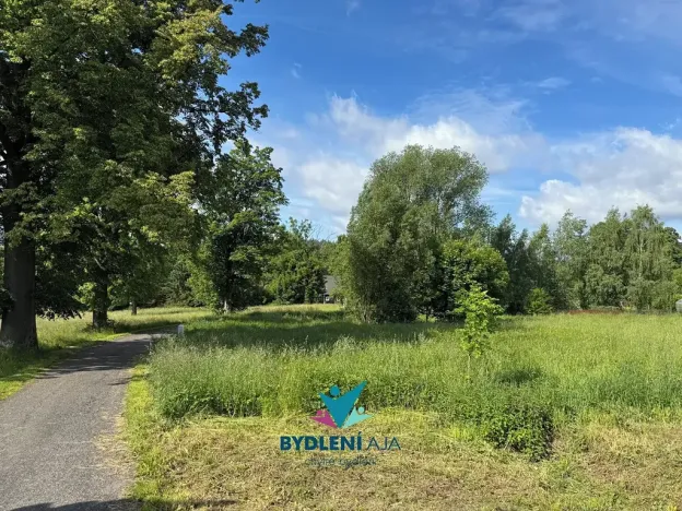 Prodej pozemku pro bydlení, Horní Podluží, 2914 m2