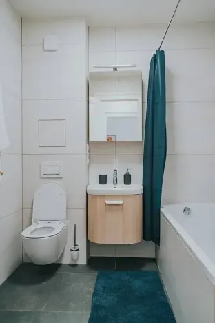 Prodej bytu 2+1, Praha - Žižkov, Krásova, 57 m2