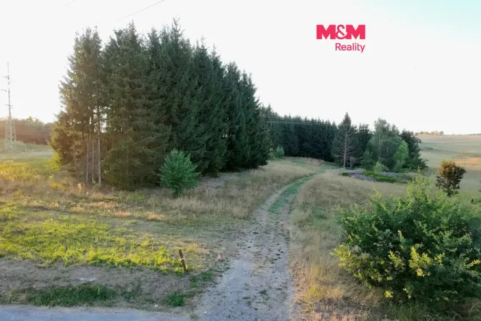 Prodej zahrady, Bělá nad Radbuzou, 6001 m2