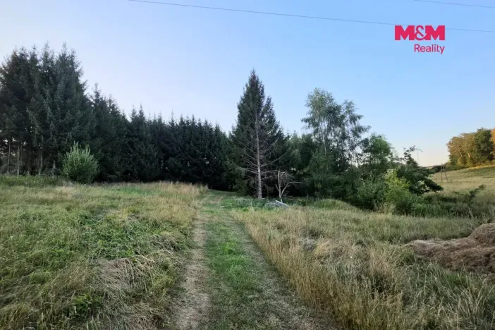 Prodej zahrady, Bělá nad Radbuzou, 6001 m2