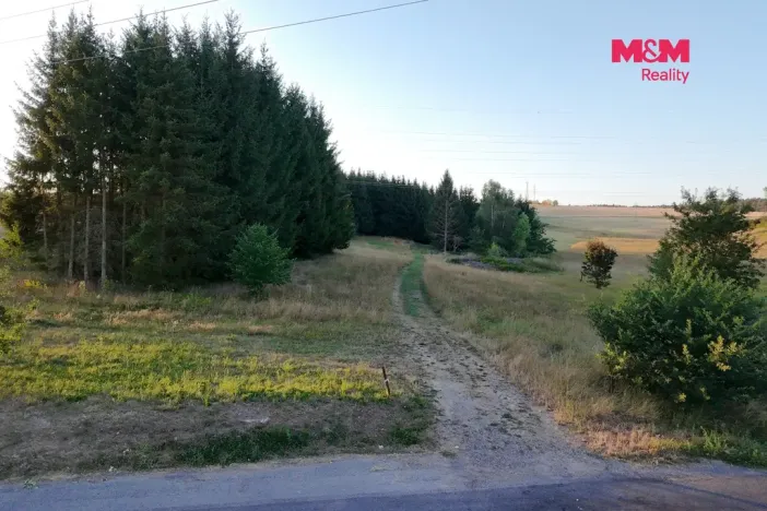 Prodej zahrady, Bělá nad Radbuzou, 6001 m2