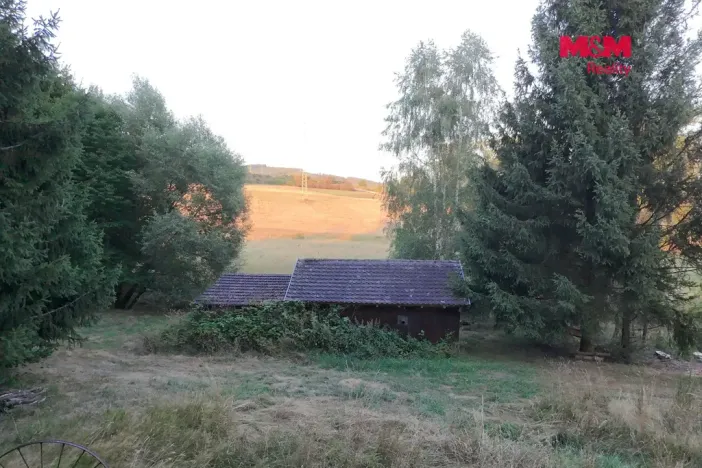 Prodej zahrady, Bělá nad Radbuzou, 6001 m2