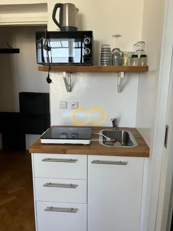 Pronájem bytu 1+kk, Praha - Žižkov, Přemyslovská, 26 m2
