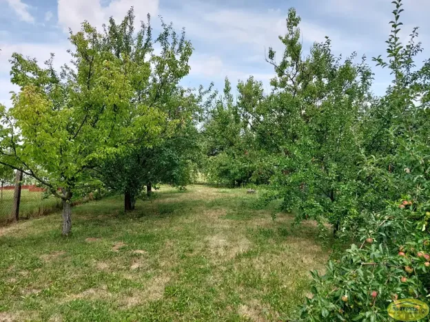 Prodej rodinného domu, Morkovice-Slížany, Kolaříkova, 69 m2