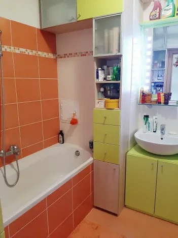 Pronájem bytu 2+kk, Nová Ves, Nad Obcí, 50 m2