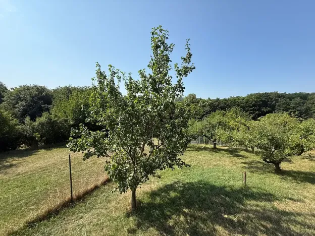 Prodej rodinného domu, Kostelany, 107 m2