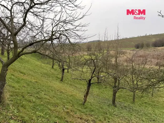 Prodej zahrady, Bezuchov, 901 m2