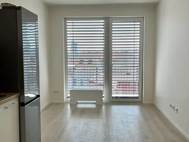 Pronájem bytu 1+kk, Brno, Dornych, 30 m2