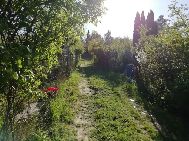 Prodej zahrady, Brno, Kolejní, 400 m2