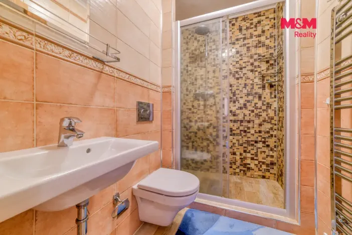 Prodej rodinného domu, Velká Hleďsebe, Pohraniční stráže, 220 m2