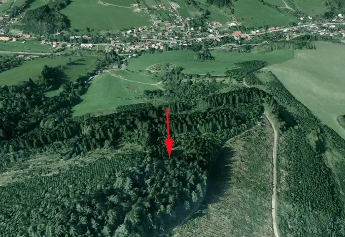 Prodej lesa, Lhota u Vsetína, 1205 m2