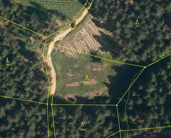 Prodej lesa, Lhota u Vsetína, 2930 m2