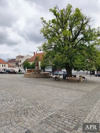 Pronájem obchodního prostoru, Uherský Brod, Masarykovo nám., 30 m2