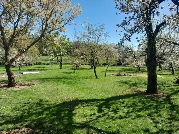 Prodej pozemku pro bydlení, Protivín, 1134 m2