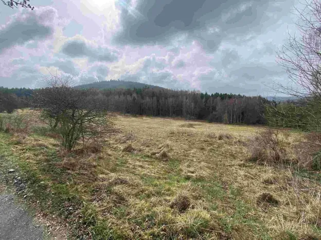 Prodej pole, Vyšší Brod - Hrudkov, 8071 m2