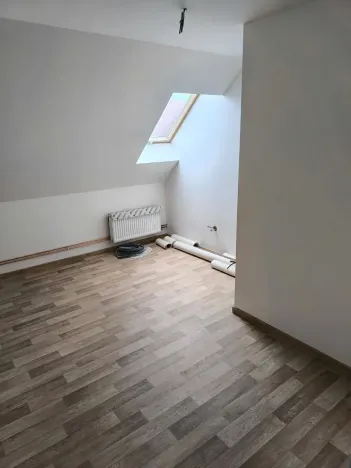 Prodej vícegeneračního domu, Běleč, Dukelská, 470 m2