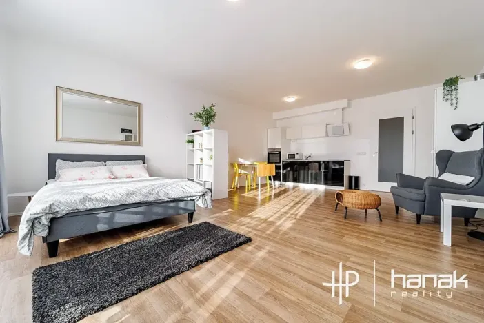 Pronájem bytu 1+kk, Olomouc, Dlouhá, 50 m2
