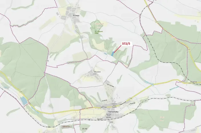 Dražba lesa, Přílepy, 7060 m2
