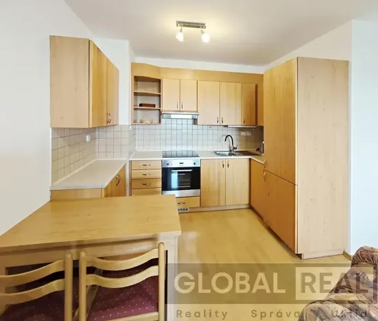 Pronájem bytu 2+kk, Jihlava, Březinova, 47 m2