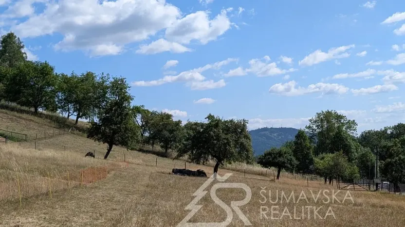 Prodej pozemku, Petrovice u Sušice - Pařezí, 4773 m2