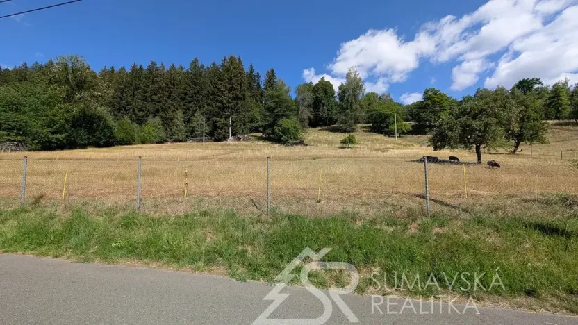Prodej pozemku, Petrovice u Sušice - Pařezí, 4773 m2