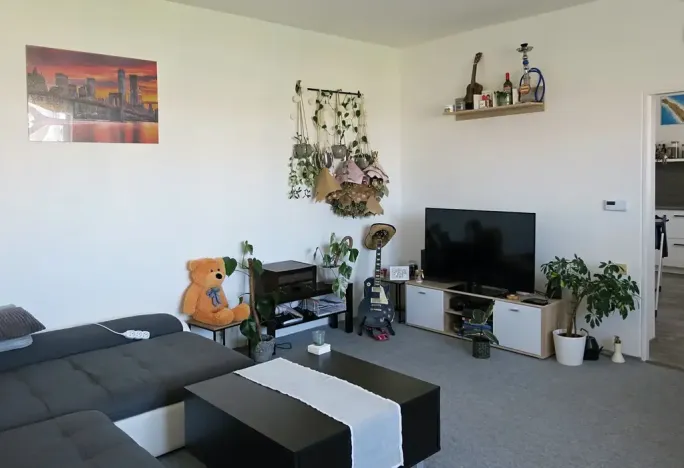 Pronájem bytu 2+1, Brno, Vackova, 60 m2