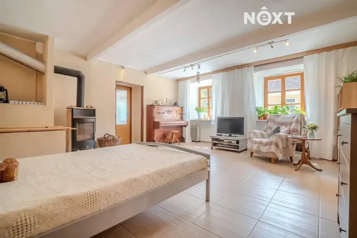 Prodej vícegeneračního domu, Lhenice, Netolická, 335 m2