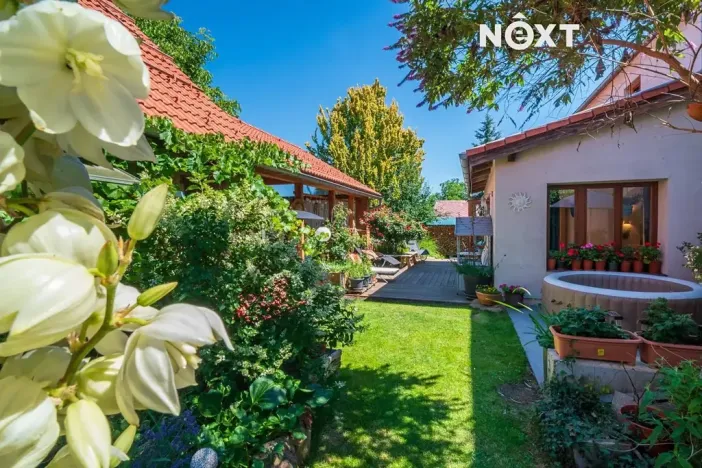 Prodej vícegeneračního domu, Lhenice, Netolická, 335 m2
