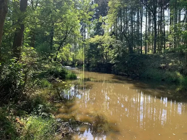 Prodej chalupy, Střelice, 89 m2