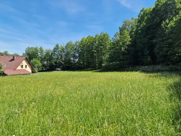 Prodej pozemku pro bydlení, Hrubá Skála, 3894 m2