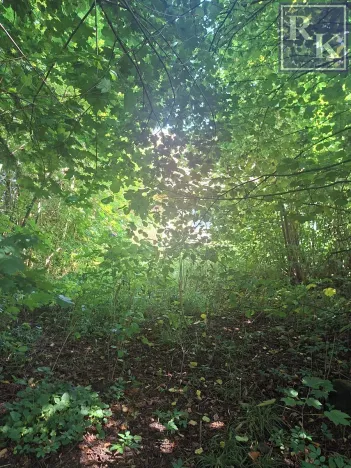 Prodej pozemku pro bydlení, Kozlovice, 1392 m2