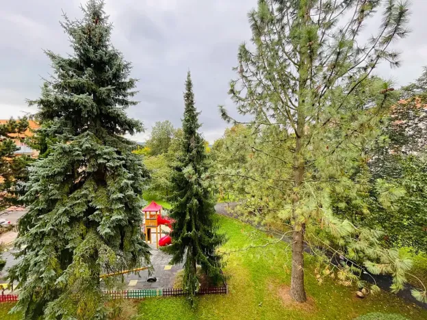 Pronájem bytu 1+1, Turnov, 40 m2