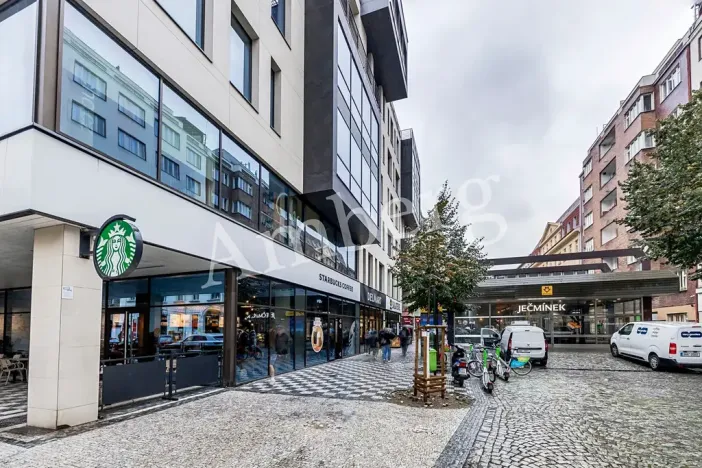 Pronájem bytu 1+kk, Praha - Karlín, Sokolovská, 28 m2