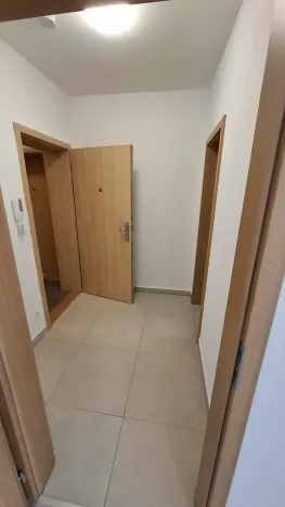 Pronájem bytu 1+kk, České Budějovice, Pekárenská, 30 m2