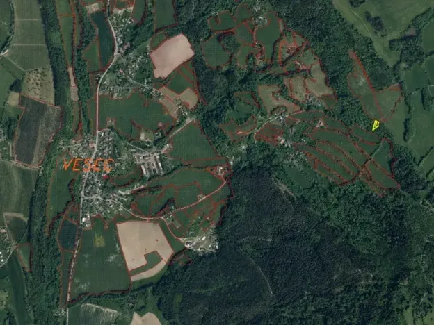 Dražba louky, Mírová pod Kozákovem, 1000 m2