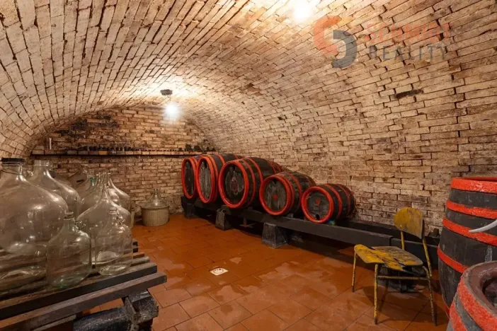 Prodej vinného sklepa, Prušánky, Nechory, 100 m2