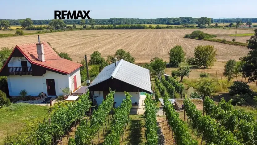 Prodej vinného sklepa, Tvrdonice, 46 m2
