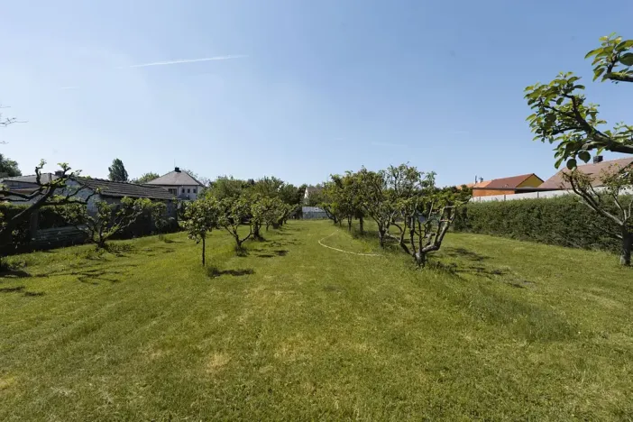 Prodej rodinného domu, Dašice, Nábřeží, 120 m2