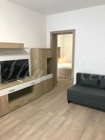 Pronájem bytu 2+kk, Brno - Zábrdovice, Francouzská, 40 m2