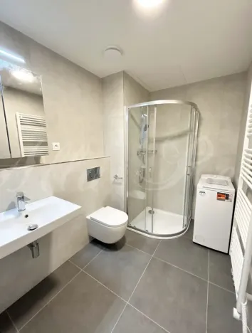 Pronájem bytu 1+kk, Brno - Štýřice, Sovinec, 30 m2