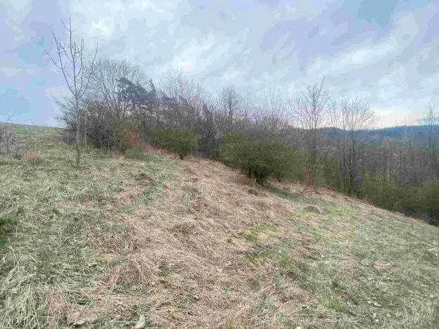 Prodej pozemku, Mírová pod Kozákovem - Vesec, 1000 m2